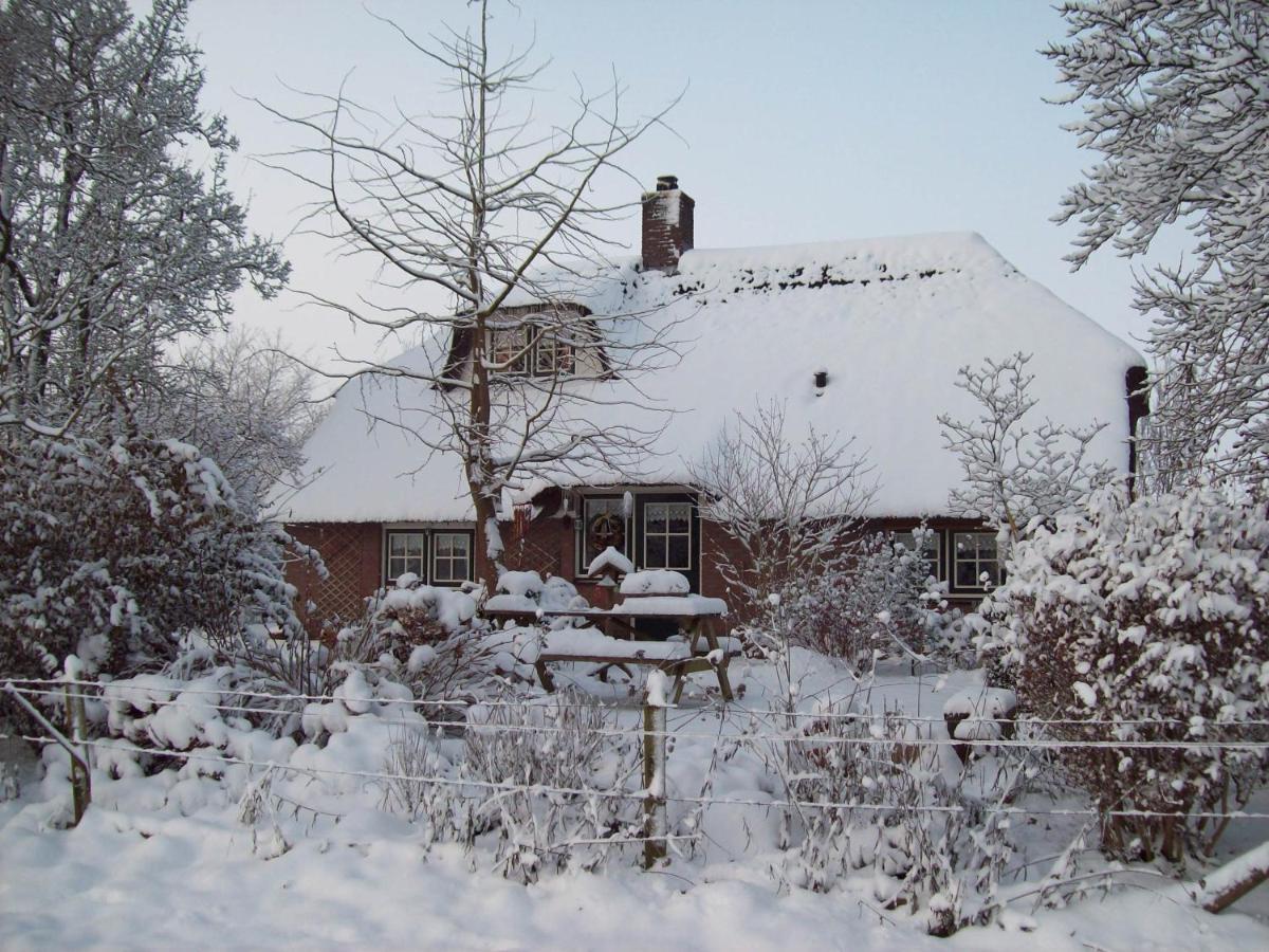 Anton'S Erfje Villa Dalfsen Esterno foto
